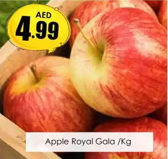 Amber Apple Royal Gala /Kg offer