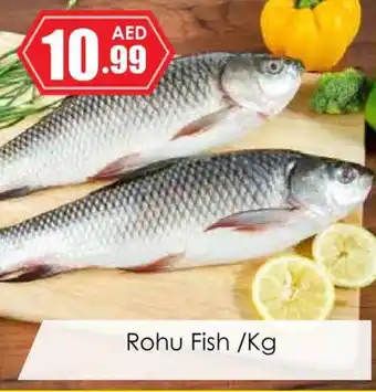 Amber Rohu Fish/Kg offer