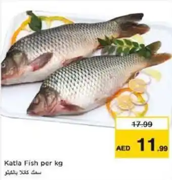 Nesto Katla Fish per kg offer