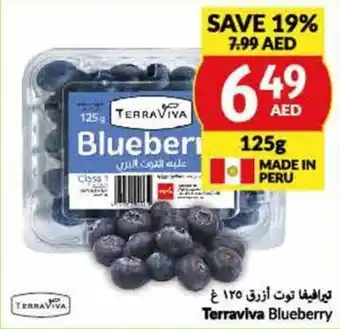 Viva Terraviva Blueberry 125g offer