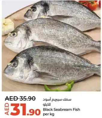Lulu Hypermarket Black Seabream Fish per kg offer