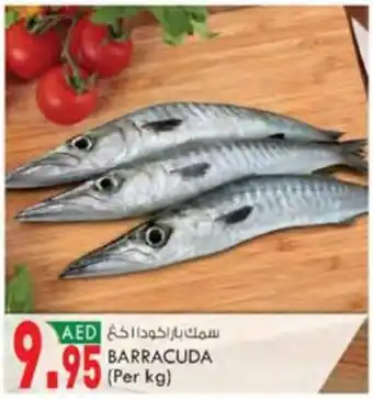 KM Trading BARRACUDA (Per kg) offer