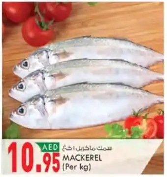 KM Trading MACKEREL (Per kg) offer