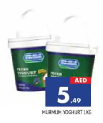 Al Madina Hypermarket MURMUM YOGHURT 1KG offer