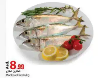 Rawabi Market Mackerel fresh per kg offer