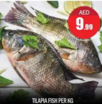 Bigmart TILAPIA FISH PER KG offer