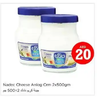 Nesto Nadec Cheese Anlog Crm 2x500gm offer