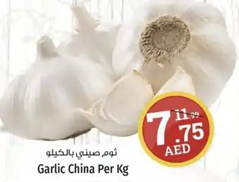 Kenz Hypermarket Garlic Per Kg offer