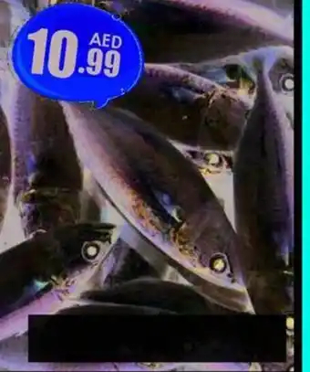 Amber Mackerel Fish/Kg offer