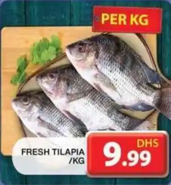Grand Mall Sharjah FRESH TILAPIA / kg offer