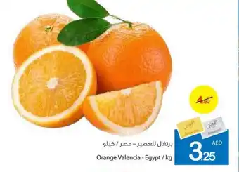 Ajman Market Orange Valencia kg offer