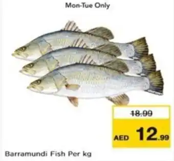 Nesto Barramundi Fish Per kg offer