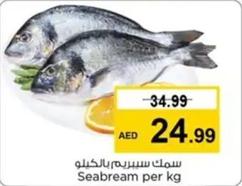 Nesto Seabream per kg offer
