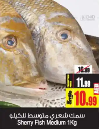 Ansar Mall Sherry Fish Medium 1Kg offer