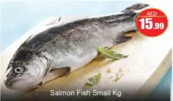 Bigmart Salmon Fish Small Kg offer