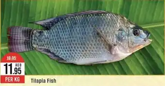 West Zone Supermarket Tilapia Fish PER KG offer