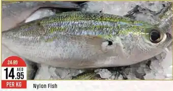 West Zone Supermarket Nylon Fish PER KG offer