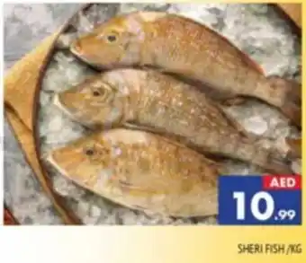 Al Madina SHERI FISH/KG offer