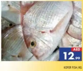 Al Madina KOFER FISH/KG offer