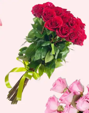 Grandiose Premium Rose Red Bunch, 10 Stems offer