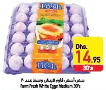 Safeer Market Farm Fresh White Eggs Medium 30's offer