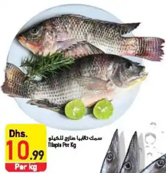 Safeer Market Tilapia Per Kg offer