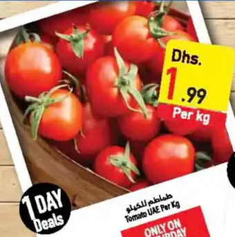 Safeer Market Tomato UAE Per Kg offer