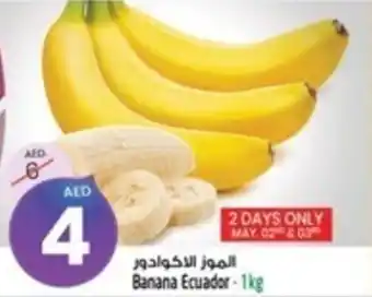 Safari Hypermarket Banana Ecuador 1kg offer