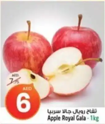 Safari Hypermarket Apple Royal Gala 1kg offer