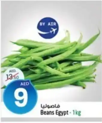 Safari Hypermarket Beans Egypt 1kg offer