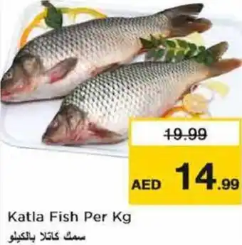 Nesto Katla Fish Per Kg offer