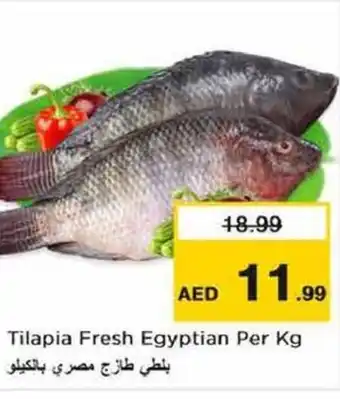 Nesto Tilapia Fresh Egyptian Per Kg offer