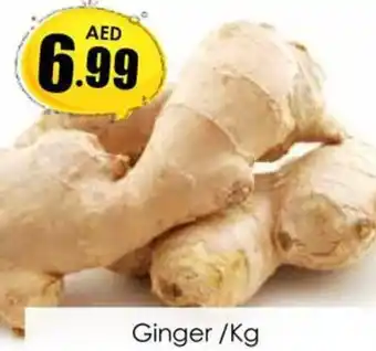 Amber Ginger/Kg offer