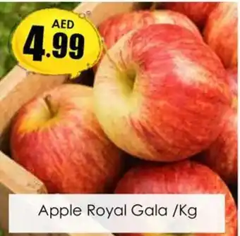 Amber Apple Royal Gala /Kg offer