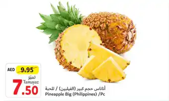 Union Coop Pineapple Big Pc offer