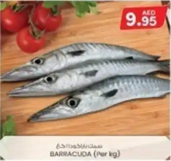 KM Trading BARRACUDA PER KG offer