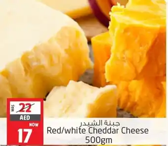 Safari Hypermarket Red/white Cheddar Cheese 500gm offer