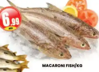 Al Madina Hypermarket MACARONI FISH/KG offer