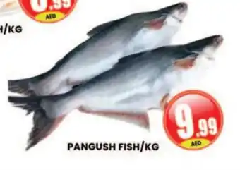 Al Madina Hypermarket PANGUSH FISH/KG offer