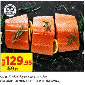 Géant ORGANIC SALMON FILLET PER KG offer