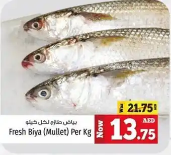 Kenz Hypermarket Fresh Biya Mullet Per Kg offer