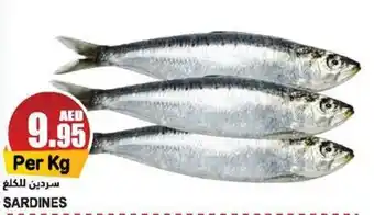 Almaya supermarket SARDINES Per Kg offer