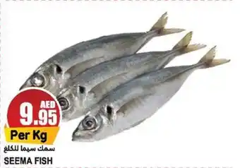 Almaya supermarket SEEMA FISH Per Kg offer