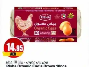 Almaya supermarket Risha Organic Egg's Brown 10pcs offer