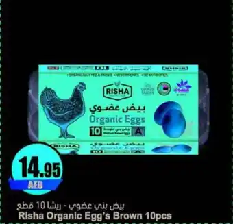 Almaya supermarket Risha Organic Egg's Brown 10pcs offer