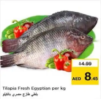 Nesto Tilapia Fresh Egyptian per kg offer