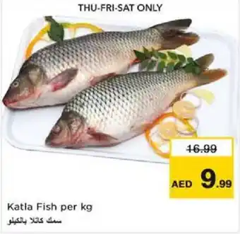 Nesto Katla Fish per kg offer
