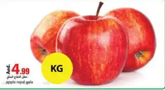 Rawabi Market apple royal gala offer