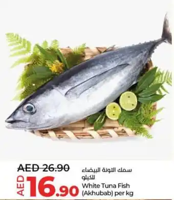 LuLu Express White Tuna Fish (Akhubab) per kg offer