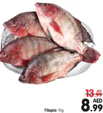 Al Madina Hypermarket Tilapia /Kg offer